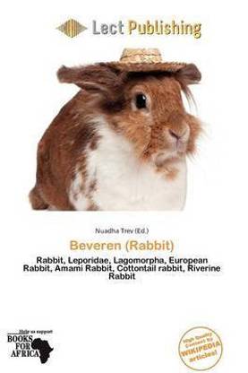 Beveren (Rabbit)