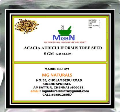 MGBN ACACIA AURICULIFORMIS TREE SEED 5 GM Seed