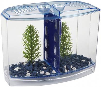VENY'S Betta House Double | Betta Tank Rectangle Aquarium Tank Rectangle Aquarium Tank