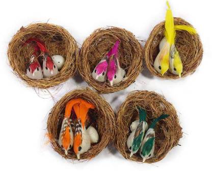Nanhi birds with nest packe of 5