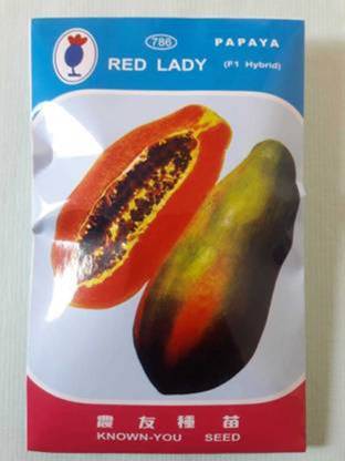 FRESH SEEDS Papaya Taiwan Seeds F1 Hybrid Seed(140 Seeds) Seed