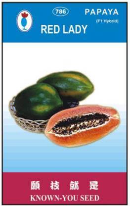 PREMIER PLANTS Red Lady Taiwan Seeds 786 Papaya Seed(270 Seeds) Seed