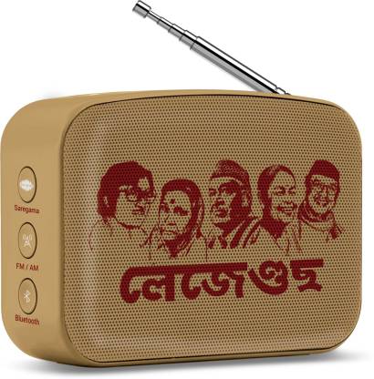 SAREGAMA Carvaan Mini Assamese 5 W Bluetooth Speaker