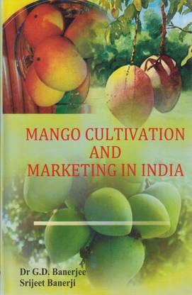 Mango Cultivation and Marketing in India