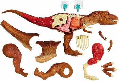 Jurassic World Toys Tyrannosaurus Rex Anatomy Kit