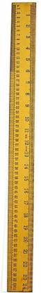 Ankita Tailoring scale Ruler 24 Cm Ruler