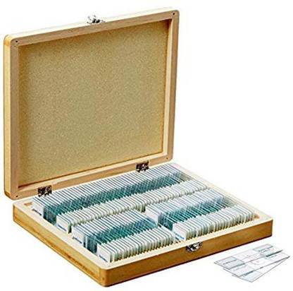 AmScope PS100A Prepared Microscope Slide Set for Basic Biological