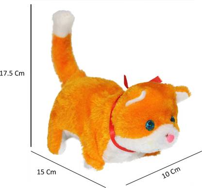 AKSHAT Fluffy Adorable Jumping Kitten with shinning eyes