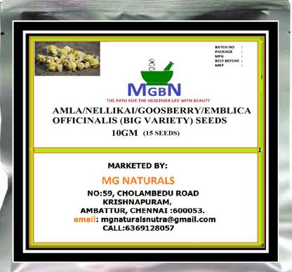 MGBN AMLA/NELLIKAI/GOOSBERRY/EMBLICA OFFICINALIS (BIG VARIETY) SEEDS 10 GM Seed