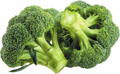 VibeX ® XXL-130-Quick Germination 100% Organic Broccoli F1 Hybrid Seeds Seed