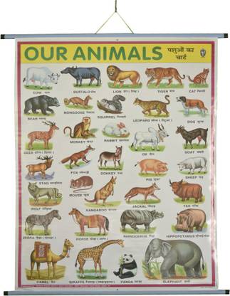 ROLLUP OUR ANIMALS CHART (PIPE MOUNTED) Photographic Paper