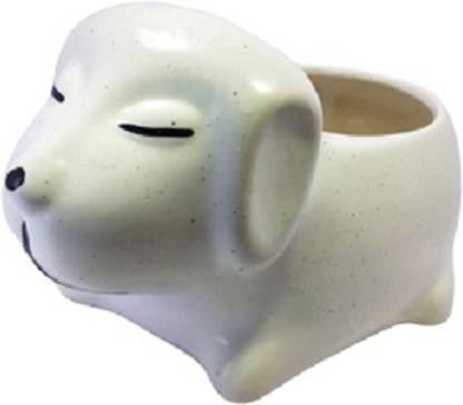 Rosette Plant Container Set