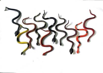 ERD traders Rubber Snake, Anaconda Snake Toy, Rainforest Snakes, 10 Snake Gag Toy