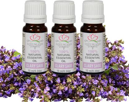 Himrishi 100% Pure & Natural Clary Sage Oil (Pack of 3, 10 ml)