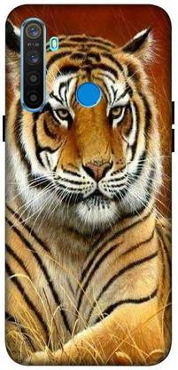 ANGELSKY Back Cover for REALME 5