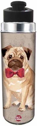 Nutcase Cute Bulldog 800 ml Bottle