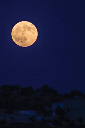 Full Moon 4x6" Field Journal / Field Notebook / Field Book / Memo Book / Pocket Notebook (50 pages/25 sheets)