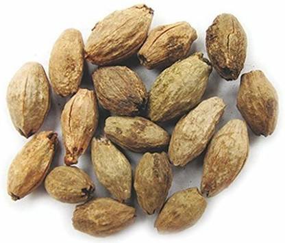 ORGANIC HERBS NEEM SEED Seed