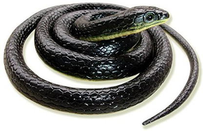 Kids toy snake clearance