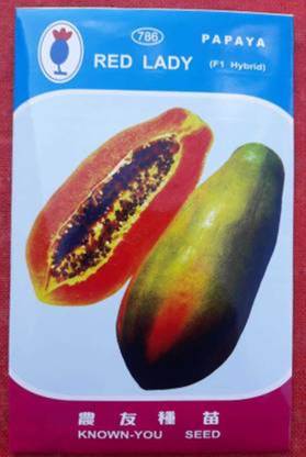 FRESH SEEDS Red Lady Papaya 786 Seeds ( 420 Seeds ) Seed