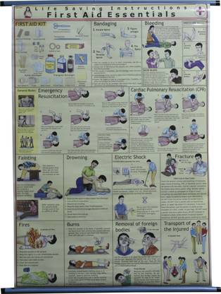 ROLLUP CHART OF LIFE SAVING FIRST AID (PIPE MOUNTED) Photographic Paper