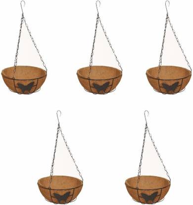 bio blooms Plant Container Set