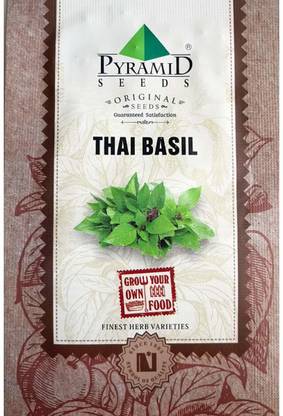 Pyramid Thai Basil Seed