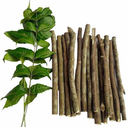 The Entacloo Natural Neem Chew Sticks/Tree Datun Twigs Organic Toothbrush Pack of 40 Hard Toothbrush
