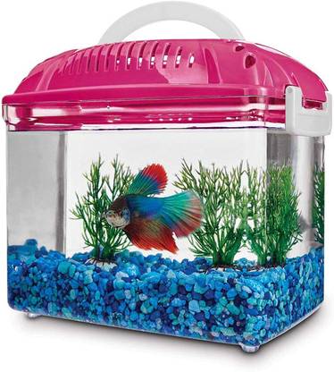 Venus Aqua Mini Aquarium Fish Habitat Tank Color Pink Small Rectangle Aquarium Tank