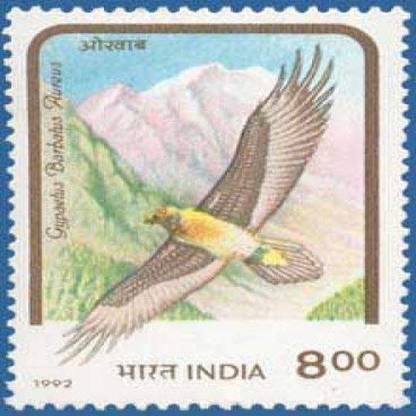 Sams Shopping Birds of Prey - Himalayan Bearded Vulture Bird, Himalayan Bearded Vulture, Gypaetus barbatus, Lammergeier, Lammergeyer Stamps