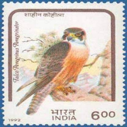 Sams Shopping Birds of Prey - Shahin Falcon Bird, Shahin Falcon, Falco peregrinus Peregrinator, Indian Peregrine Falcon, Black Shaheen Falcon, Black Shaheen, Indian Shaheen (Block of 4) Stamps