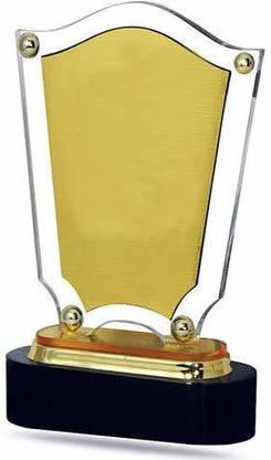 Radius Acrylic with wooden base Trophy