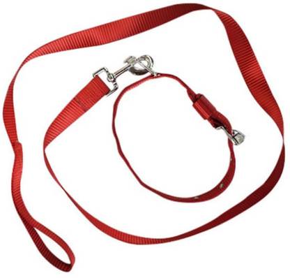 Golden Dog Collar & Leash