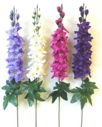 R-DRoz Larkspur Flowers Mixed Premium Flowers Seeds Seed