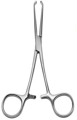 Agarwals Allis Tissue Forcep 5" (Pack Of 1)DD458/*-+RHN Tissue Forceps