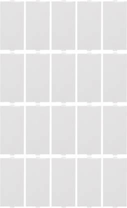 CONA 9356 Status Blank Plate Socket White (Pack of 20)|White Module Socket|Electrical Socket|Blank Plate|Universal Socket|Module Plate|Plate For Home Office Shop Wall Plate