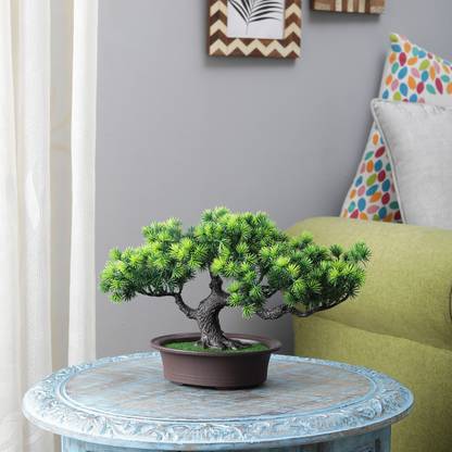 Flipkart Perfect Homes Bonsai Wild Artificial Plant  with Pot