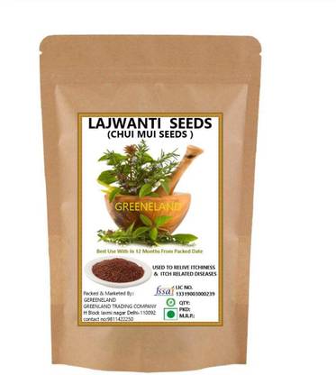 GREENELAND LAJWANTI SEEDS / CHUI MUI SEEDS / SENSITIVE PLANT SEEDS / MIMOSA PUDICA SEEDS Seed