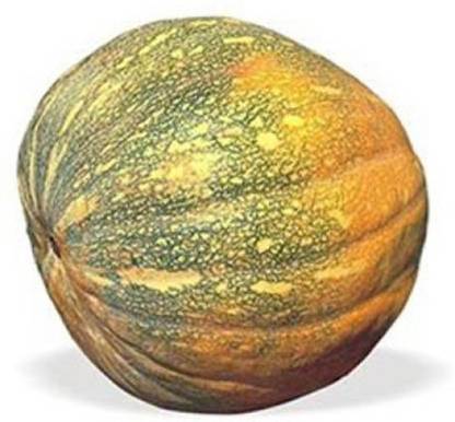FRESH SEEDS Pumpkin Desi Seeds (490 Seeds ) Seed