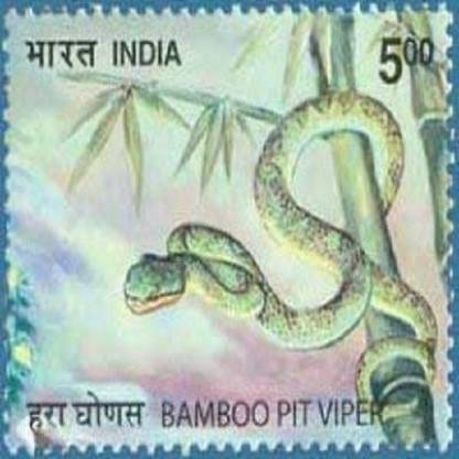 Sams Shopping Nature India Snakes , Thematic Bamboo Pit Viper, Rs 5 Stamps
