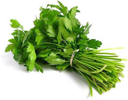 TrustBasket Open Pollinated Coriander Seeds Seed