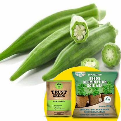 ट्रस्टबैस्केट बेंडी (OP/देसी) फ्री जर्मिनेशन पॉटिंग सॉइल मिक्स के साथ बीज बीज