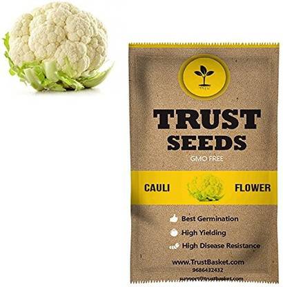 TrustBasket Open Pollinated Sweet William Flower Seeds Seed