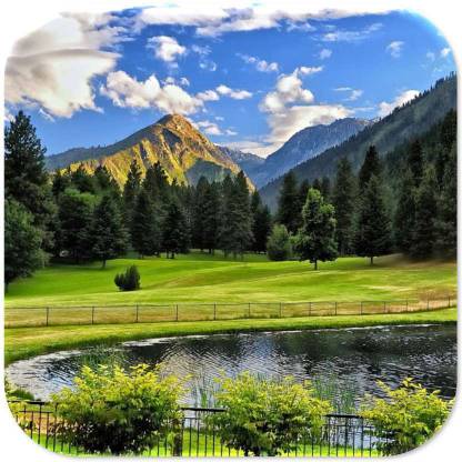 Krishneel Square Wood Coaster Set