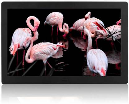 Miracle Digital 10.1.2 inch Multi-Functional Digtal Media Photo Frame with LED Blacklight, Supports SD/MMC, USB DIsk Card/AUX/DC (INCLUDE 4GB Memory Card ) 10.1 inch LCD