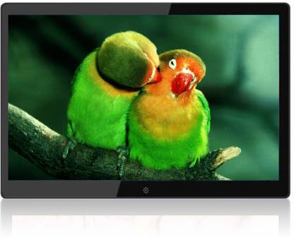 Miracle Digital 15.3 INCH Multi-functional Digital Media Photo Frame with LED Blacklight, Support SD/MMC/USB Disk Card/AUX/DC ( BUILT-IN 4GB INTERNAL STORAGE ) 15 inch LED