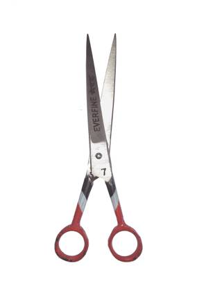 ALB colouring hair scissor Scissors