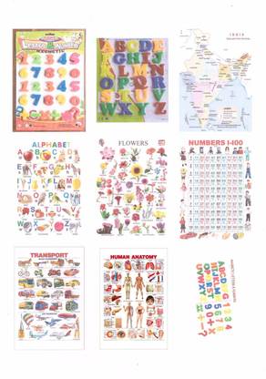 anshul internet point 9 Laminated A4 size Chart Paper Sheets with 2 Magnetic Alpha & Numeric (Alphabets , flowers,India Map,Numbers,Transport,Colors , Solar System ,Human Anatomy)(Total 10 Multicolor items) Pocket Chart