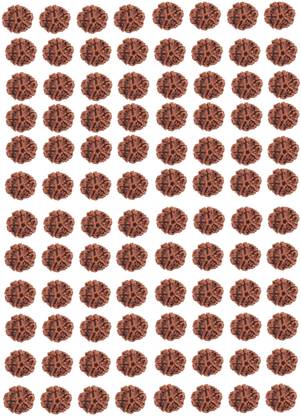 CHEZEL 5 mukhi rudraksha Nepal 108 pcs with hole Shell