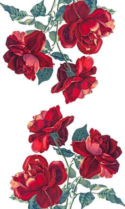 RED ROSE WALLPAPER Paper Print